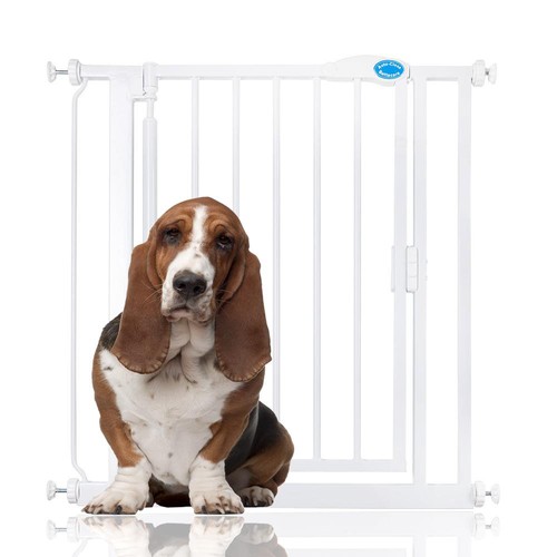 Bettacare dog safety - dog,
