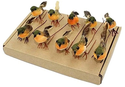 Minature robin bird - robin,