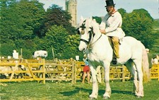 Widecombe Fair : Vintage
