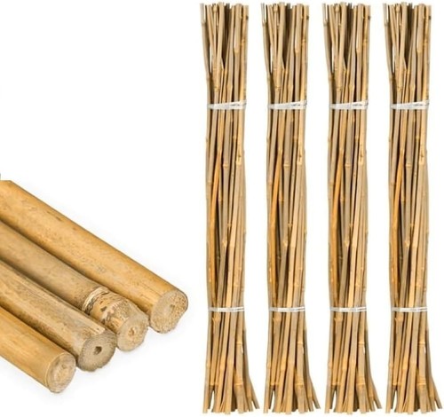 Natural bamboo plant support - natural,