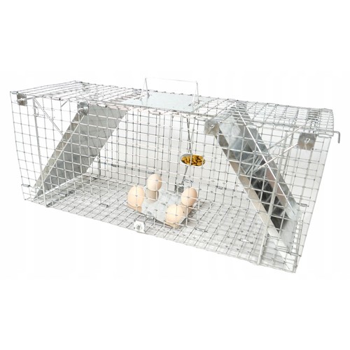 Live trap for - live,