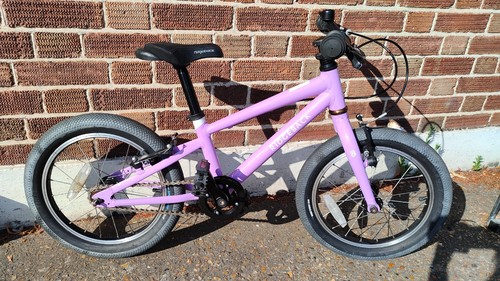 Ridgeback dimension kids - 16,