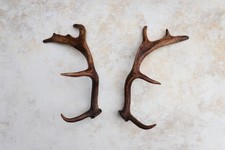 Pair of Fallow Deer Antlers 15