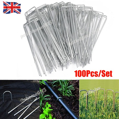 100 pins inch - 100,