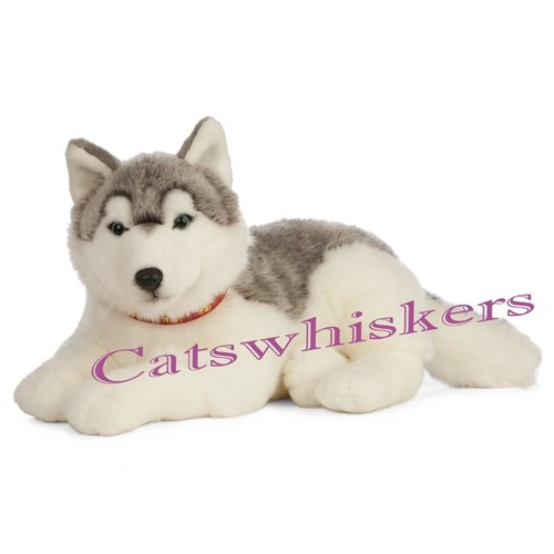 Lying husky plush soft - husky,