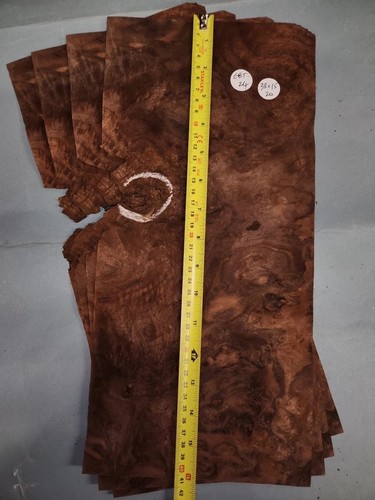 American walnut burr - american,