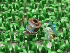 Honda CBR250RR Valve Stem Seals - In Stock, Ready to Ship - Genuine New Moto...