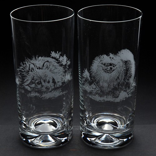Pomeranian dog highball - pomeranian,
