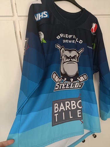 Sheffield steeldogs ice hockey - ice,