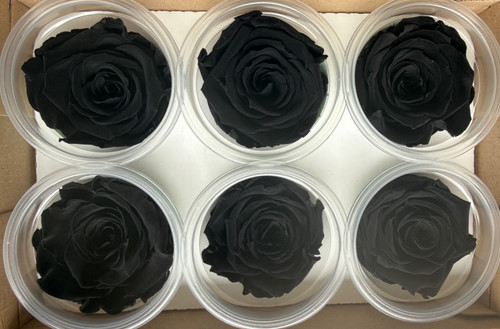Black preserved real - 12, roses