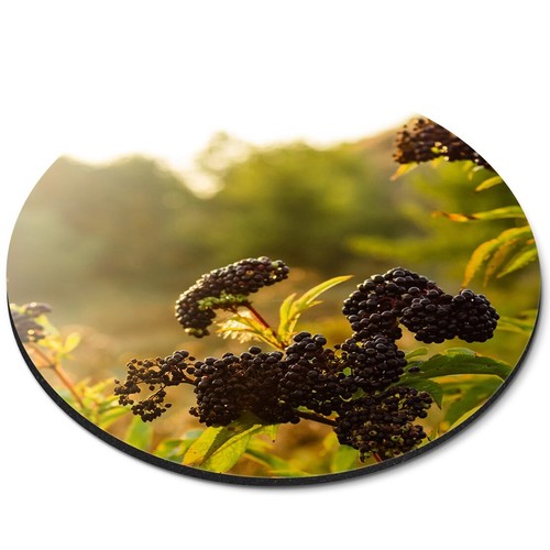 Round mouse mat black - mouse,