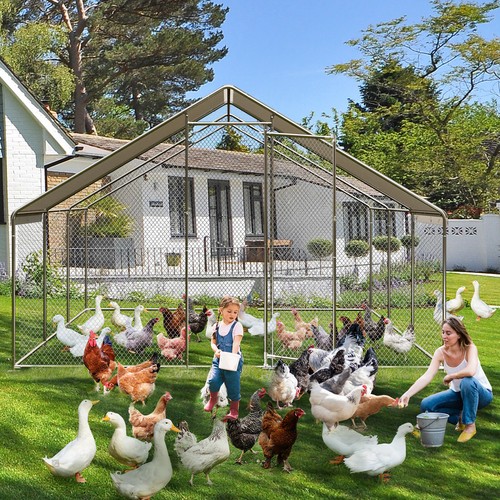 Heavy duty metal chicken - metal, run