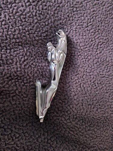Jaguar leaping cat large - cat,