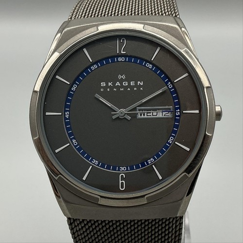 Skagen melbye titanium mens - titanium,