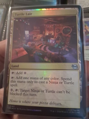 Turtle lair foil tmnt - foil,