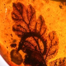 STUNNING LEAF inclusion in