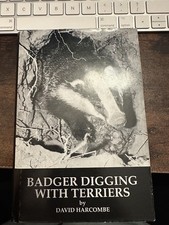 Badger Diggin With Terriers by