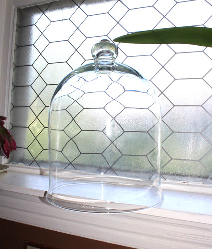 Extra large vintage clear - large,
