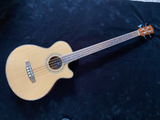 Acoustic Bass Guitar