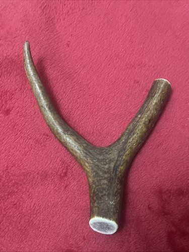 One piece deer antler y - piece, of