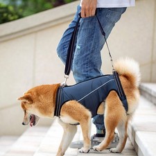 Pet Dogs Mobility Aids Support