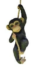 Climbing Monkey Garden