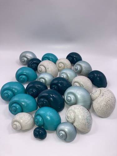 Lot painted apple snail - lot, of