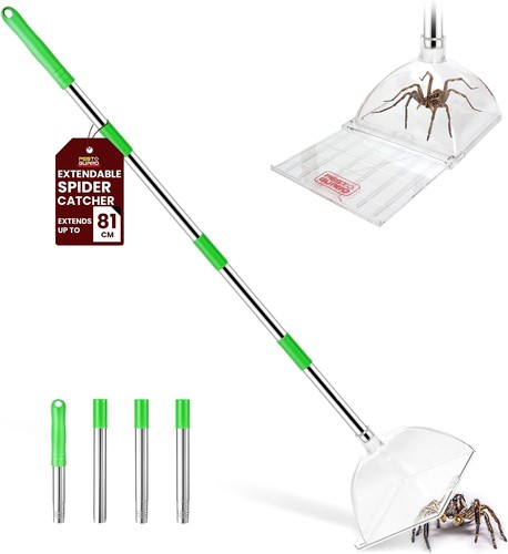 Spider catcher pest - pest, trap