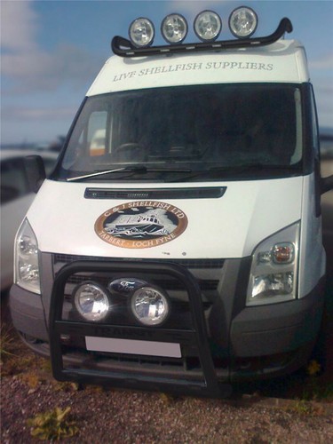 Bull bar fit ford - to,