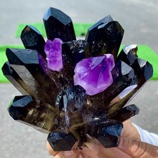 1.79LB New Find black Phantom Quartz with amethyst Crystal Cluster Mineral