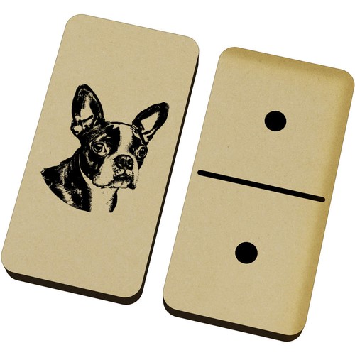 Boston terrier portrait - 'boston,