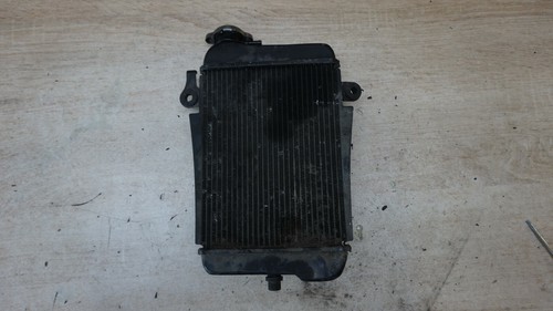 Honda sh300 2011 coolant - honda,