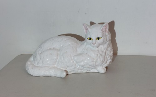White persian lying - lying, down