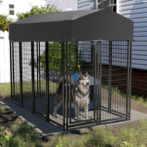 Tall large outdoor - tall/large, dog