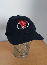 Brand New Cardiff Devils Ice