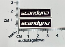 Scandyna Speaker Badge Logo