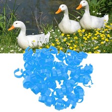 Bird Leg Bands 100Pcs Blue Poultry Foot Rings 20mm for ChickenDuckOpen Buckle