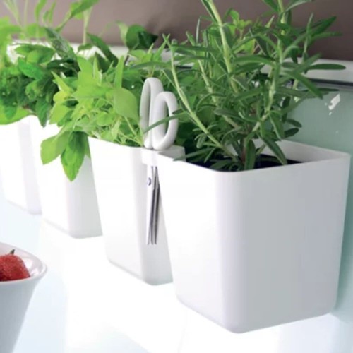 Windowsill twin herb pot - twin, with