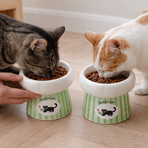 High foot dog - high,