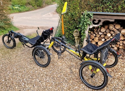 2021 hase bikes - 2021,