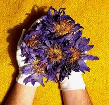 50g Organic Blue Lotus Dried