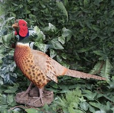 Vivid Arts - Realistic