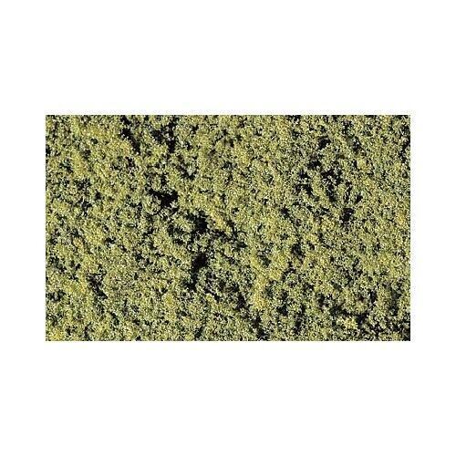 Medium green foliage - medium,