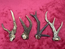 4 PIECES OF FANCY ROE DEER