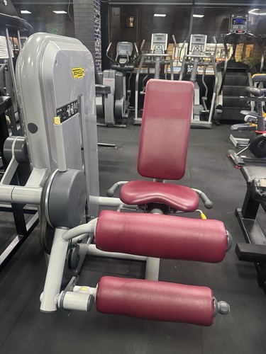 Techno gym leg curl machine - gym,