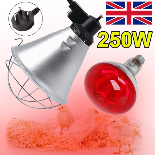 Infra red heat lamp 250w - infra,