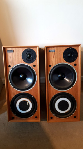 Celestion ditton xr - 15,