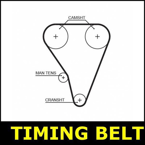 Timing belt cam - timing,