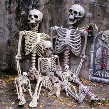 40-185cm Poseable Skeleton Full Life Size Human Skeleton Halloween Decoration UK