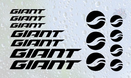 Giant mountain bike - mountain,